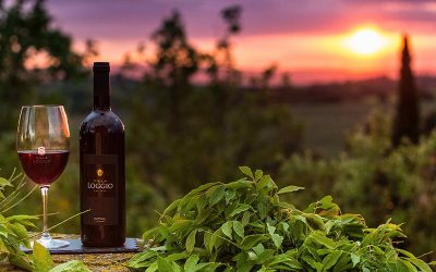 Best Wineries And Winery Industry In Canada